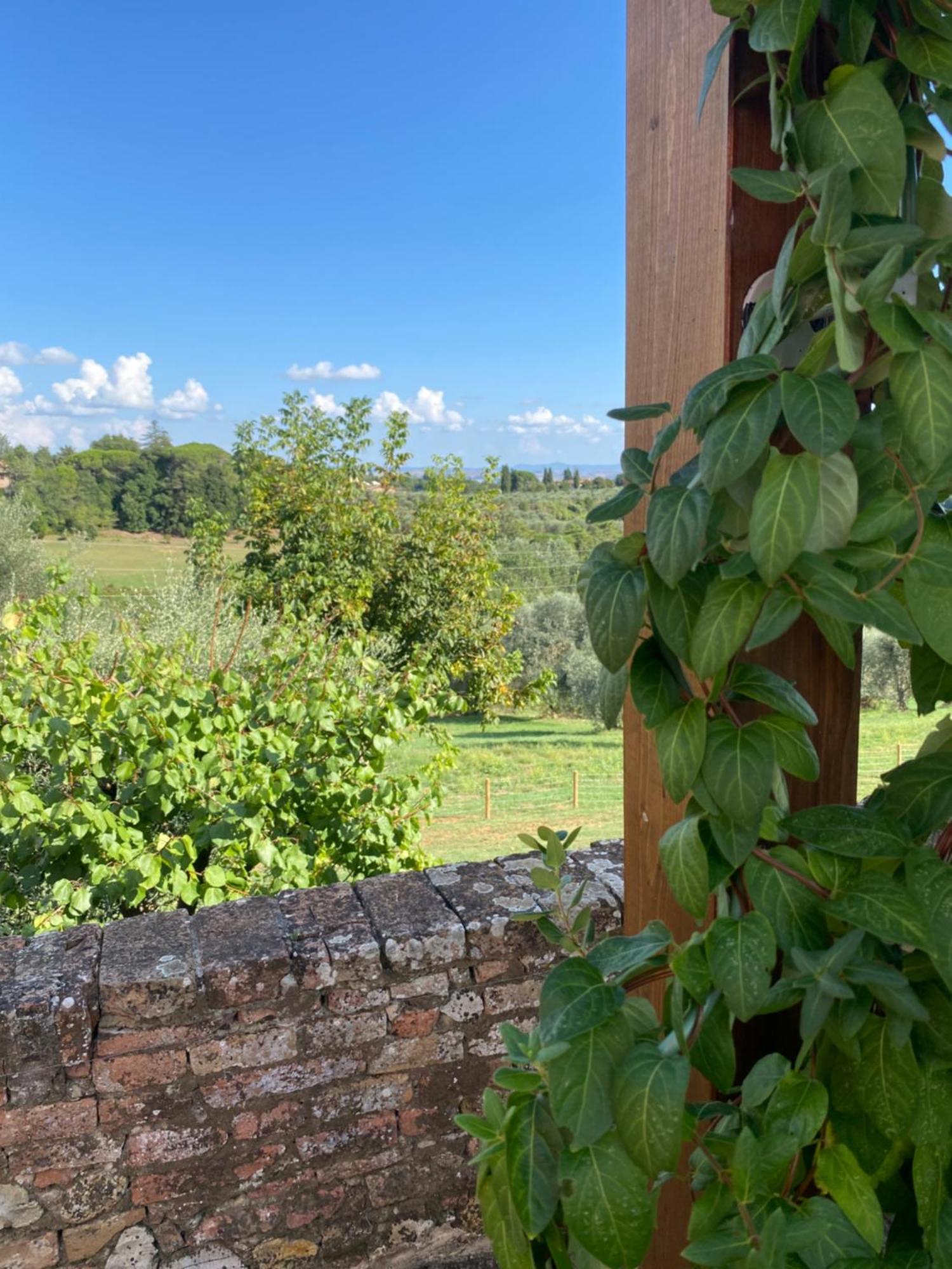 Palazzo Del Papa Country Suites Siena Bagian luar foto