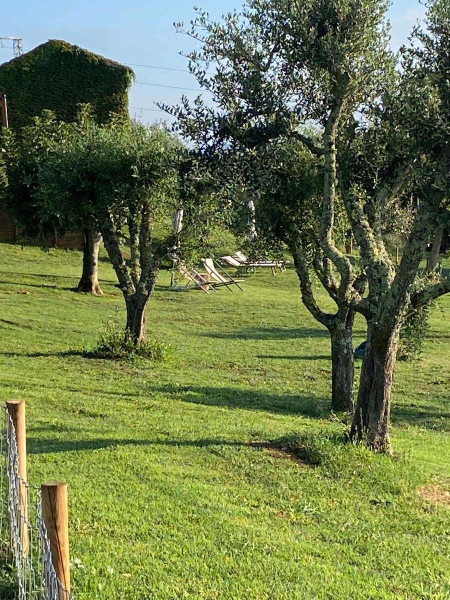 Palazzo Del Papa Country Suites Siena Bagian luar foto